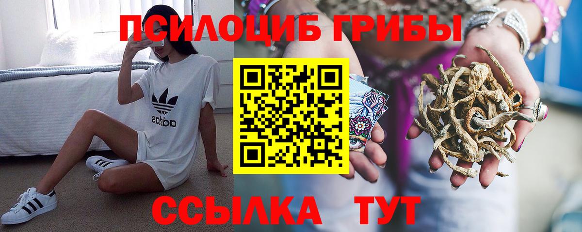 Старая Русса  Псилоцибиновые грибы Psilocybine cubensis  Вход с VPN 