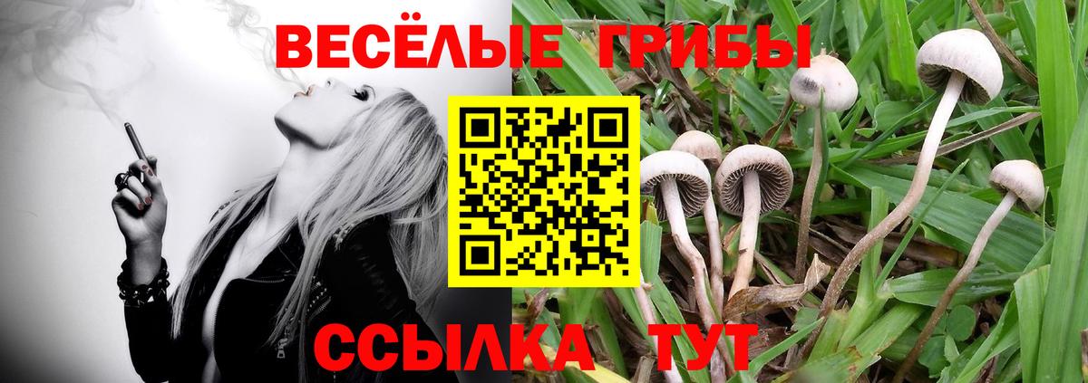 Псилоцибиновые грибы GOLDEN TEACHER Старая Русса